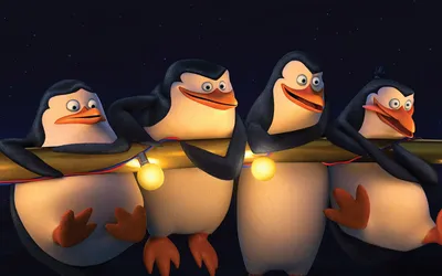 Обои на рабочий стол Четыре пингвина Мадагаскара / Penguins Madagaskar:  Рико / Rico, Шкипер / Skipper, Рядовой / Private и Ковальски / Kowalski,  повисли на гирлянде, обои для рабочего стола, скачать обои, обои бесплатно