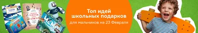 Что подарить мальчику на 23 Февраля в школе: лучшие идеи подарков для  мальчиков разных возрастов | Майшоп