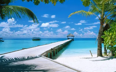 Пляжи на Мальдивах | Лучшие места для пляжного отдыха на Мальдивах