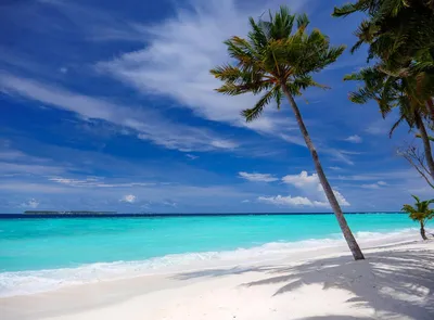 Океан пляж Мальдивы (57 фото) - 57 фото