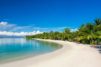 Обои море, пляж, отдых, тропики, мальдивы для рабочего стола #63257