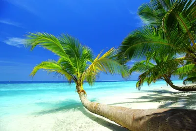 Пляж на Мальдивах | Пикабу