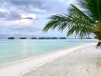 Мальдивы Пляж Расслабляться - Бесплатное фото на Pixabay - Pixabay