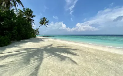 true_beautiful_nature - Мальдивы 💙 #море #пляж #острова #мальдивы  #необычнаяприрода #отдых #красиваяприрода #красивыеместа #релакс  #путешествия #настоящаяприрода #природа #sea #beach #islands #maldives  #rest #beautifulnature #beautifulplaces #relax ...