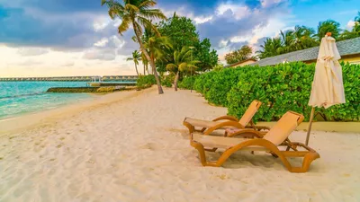 Мальдивы Остров Пляж - Бесплатное фото на Pixabay - Pixabay