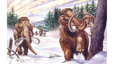 История мамонтов