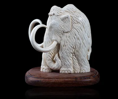 Берёзовский мамонт — Википедия