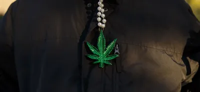 Марихуана: польза и вред марихуаны, как выглядит растение, содержание  наркотика