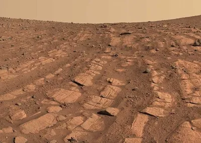 Марсоход Perseverance впервые обнаружил следы мощных потоков воды на Марсе  (фото)