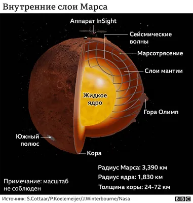 Ученые узнали, как устроен Марс. У планеты жидкое ядро и толстая кора - BBC  News Русская служба
