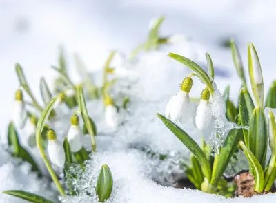 Почему первый весенний месяц называется март? | Филфак | Дзен