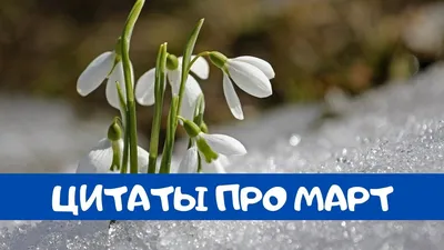 Казахстан без сирот - Дорогие друзья! Март – не только первый весенний месяц  по календарю. В наших краях март с днём весеннего равноденствия и  празднованием Наурыза ассоциируется с обновлением природы и человека, –
