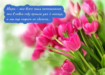 Город Сызрань - Март – первый весенний месяц, на который приходится  дополнительный выходной в честь Международного женского дня. В этому году  россияне отдохнут три дня подряд: 6, 7 и 8 марта, после