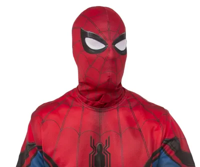 Spider-Man: Across the Spider-Verse: Маска Человек-Паук 2099: купить  игрушечный набор для мальчика по низкой цене в Алматы, Казахстане | Marwin
