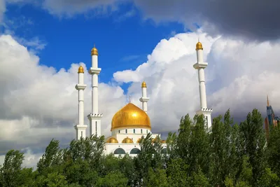 Самые красивые мечети Турции | VectorMe | Дзен