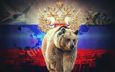 Картинки Медведь Россия