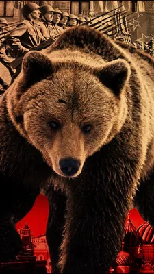 Купить флаг РФ с медведем \"Россия, Вперед!\" 90х135 см шелк | INARI