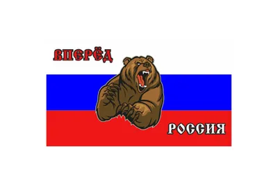 Сибирь, идущий медведь на фоне елей, Россия, любовь, винтаж, цветной  постер, иллюстрация, вектор Stock-Vektorgrafik | Adobe Stock