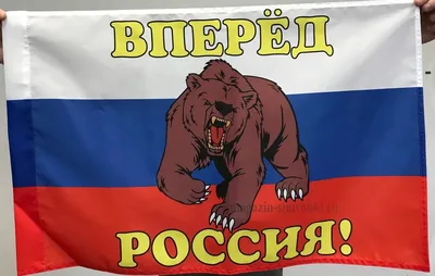 Медведь и Россия иллюстрация штока. иллюстрации насчитывающей природа -  115568253