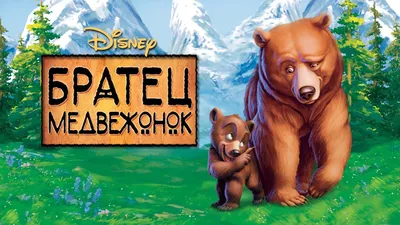 10 лучших мультфильмов про медведей - OKKOLOKINO