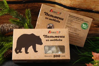 Гибрид белого и бурого медведя может сформироваться на севере Якутии -  Информационный портал Yk24/Як24