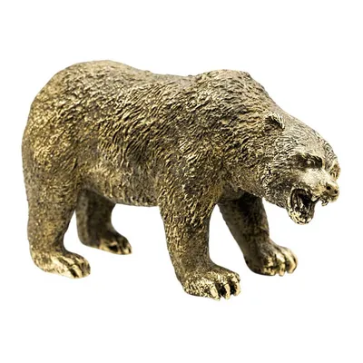Гималайский медведь (Ursus thibetanus) — Зоопарк «Лимпопо» г. Нижний  Новгород – Нижегородский зоопарк