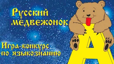 В Хабаровске выхаживают медвежонка, спасенного в Челябинской области - РИА  Новости, 01.05.2021