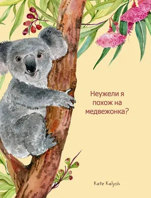 Как сохранить в России уникальный центр по спасению медвежат-сирот -  Российская газета