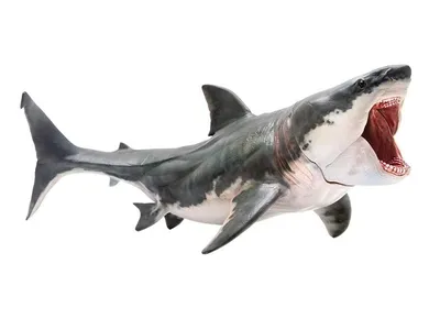 Мегалодон | Hungry Shark World вики | Fandom