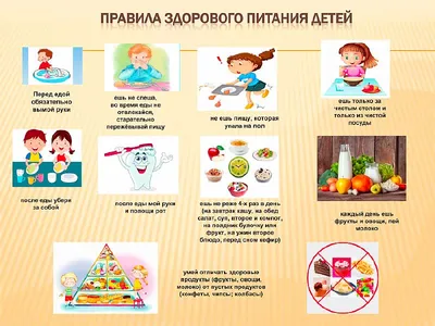 Питание в детском саду — детский сад №19