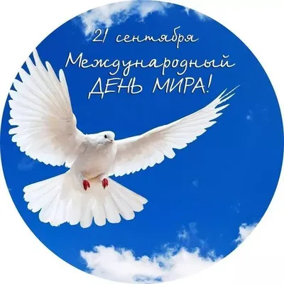 Картинки международный день мира фотографии
