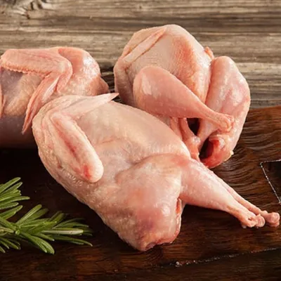 Чем опасно для человека мясо курицы? | Индюшонок