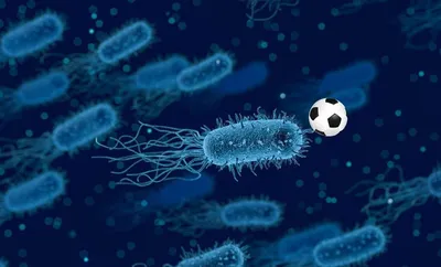 Микробы в карикатуре XIX века • Антон Нелихов • Научная картинка дня на  «Элементах» • Микробиология