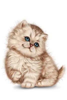 Продажа милых котят изображение_Фото номер 400946141_PNG Формат  изображения_ru.lovepik.com