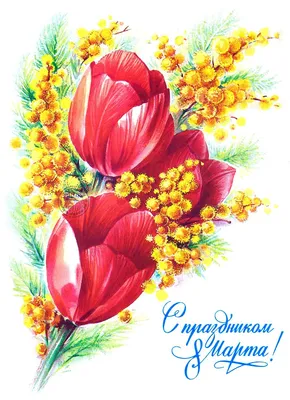 Тюльпаны и мимоза - традиционный букет на 8 марта - Скачайте на Davno.ru |  Акварельные открытки, Цветочные картины, Рисование цветов