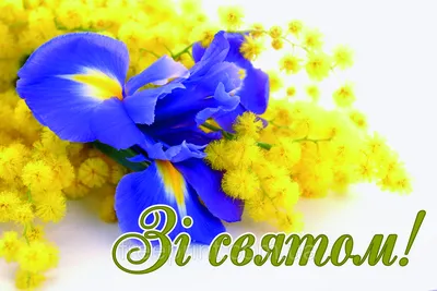 Фотозона на 8 марта, мимоза (ID#1580847361), цена: 1350 ₴, купить на Prom.ua