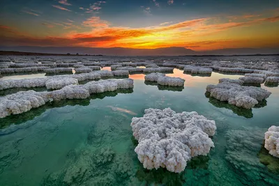 9 невероятных особенностей Мертвого моря | 𝓛𝓲𝓫𝓻𝓪𝓻𝓲𝓾𝓶 | Дзен