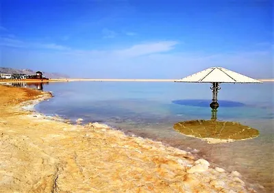 На дне Мертвого моря нашли следы древней катастрофы