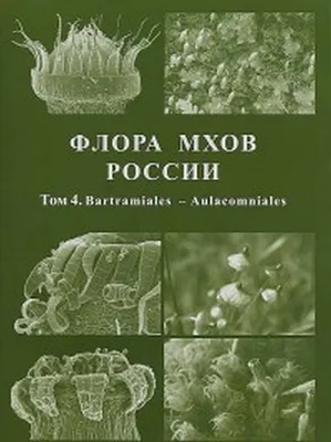 🌸🌸 царство мхов и лишайников. …» — создано в Шедевруме