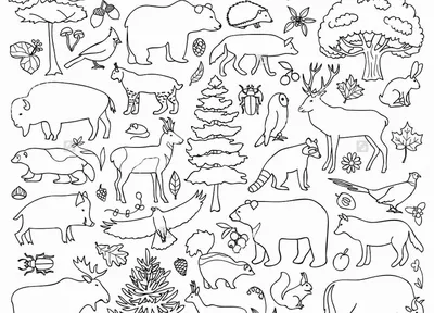 Много Диких Животных В Пруду — стоковая векторная графика и другие  изображения на тему Аист - Аист, Без людей, Бобр - iStock