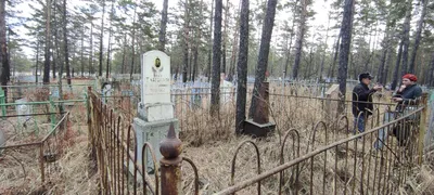 Луполовское» кладбище: заросло травой, некоторые могилы провалились |  magilev.by