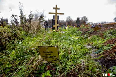 Могилы польских солдат в беларусской деревне Микулишки сровняли с землей –  REFORM.by