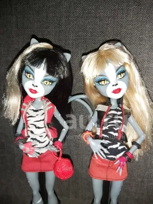 Купить Monster High Кэтти Нуар Монстр Хай Catty Noir Basic Doll по отличной  цене в киеве