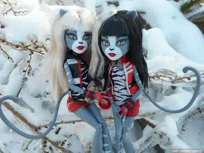 Редкие базовые куклы-кошки Монстер хай/Monster high. — купить в  Красноярске. Куклы на интернет-аукционе Au.ru