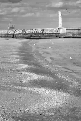 Черно-белые пляжные фото: подборка ретро кадров, от которой вам захочется  на море | GQ Россия