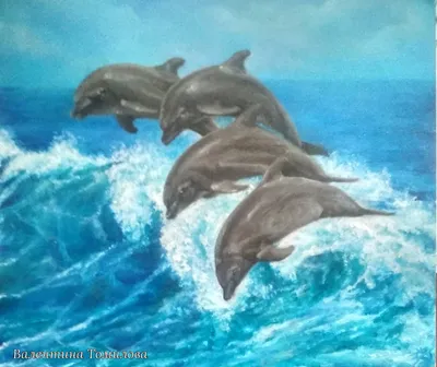 На Азовском море массово гибнут дельфины: что происходит. Новости Днепра