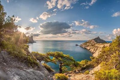 Курорты Крыма: туристические места для отдыха у моря — идеи для отпуска от  Яндекс Путешествий