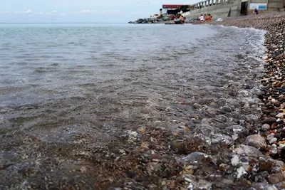 Свадьба в Крыму на берегу моря - Официальный сайт отеля ИваМария в Алуште в  Республике Крым