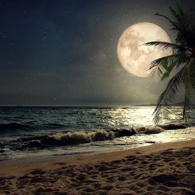 Я на море - Море. Ночь. Луна. Романтика!!! | Facebook