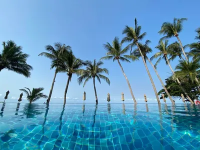 Море,пляж,лежаки,кокос,ананас,отдых» — создано в Шедевруме